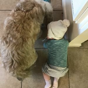 Meet your Posher, Lucy